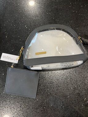 Clear Dome Crossbody Bag in Gray